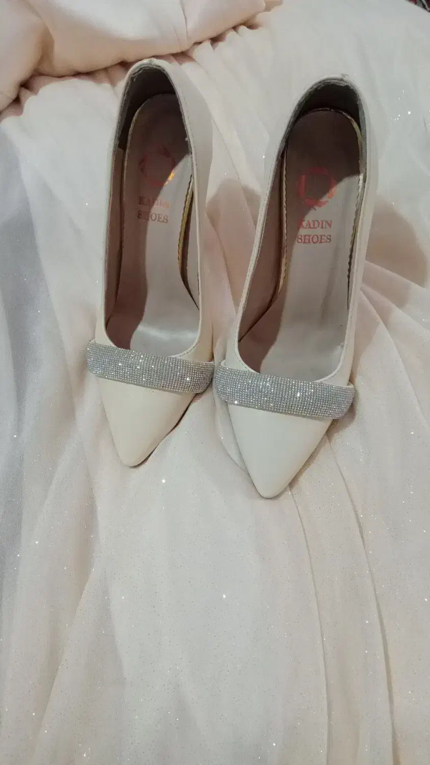 کفش و لباس مجلسی|لباس|سلماس, |دیوار