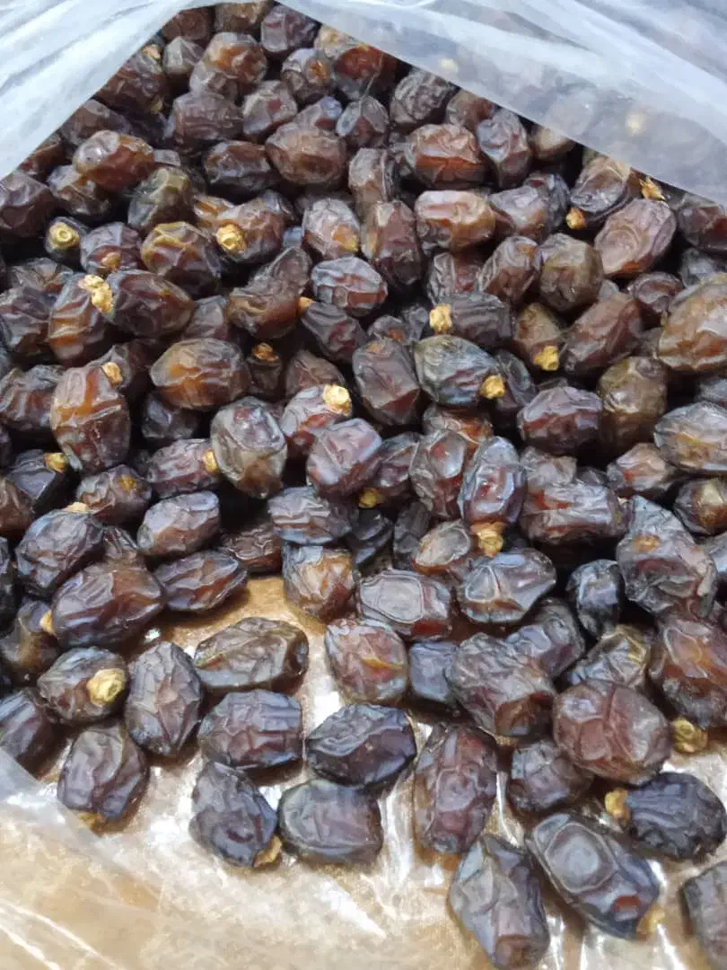 خرید فروش خرما|خوردنی و آشامیدنی|داراب, |دیوار