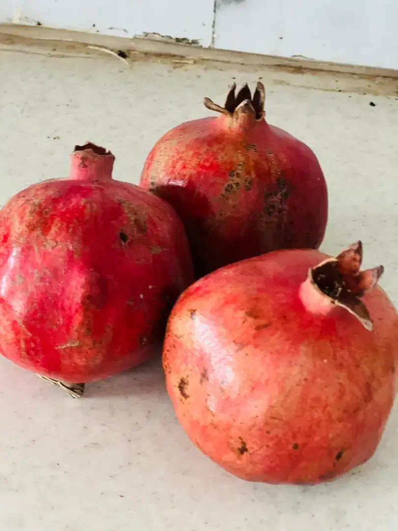 انارملس ممتاز|خوردنی و آشامیدنی|گنبد کاووس, |دیوار