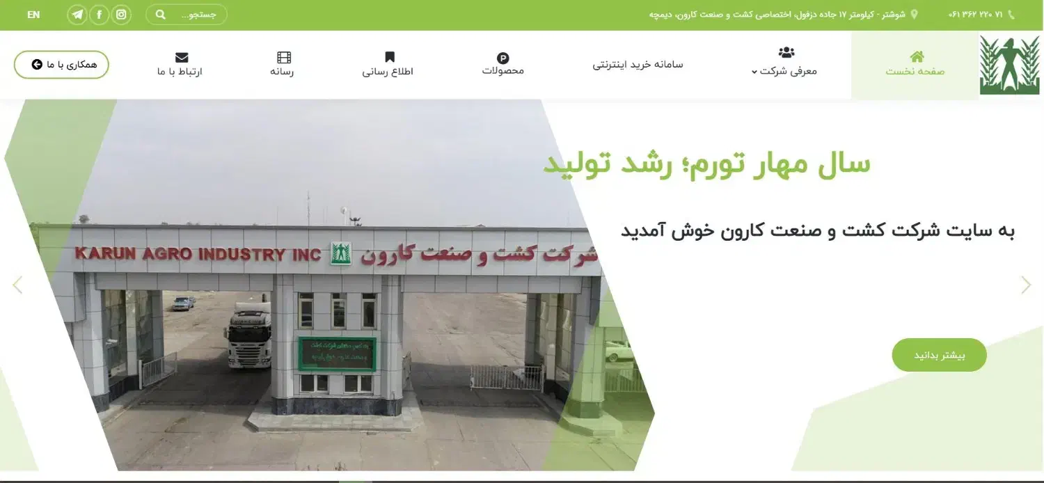 طراحی سایت های فروشگاهی آنلاین،شرکتی و شخصی|خدمات رایانه‌ای و موبایل|شوشتر, |دیوار