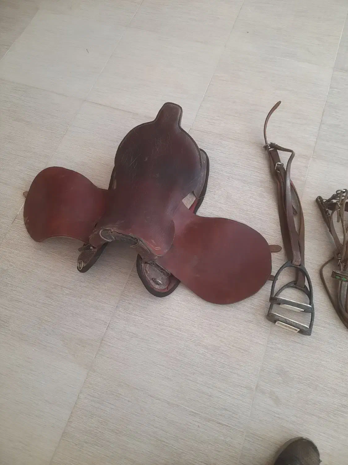 زین ودهنه|اسب و تجهیزات اسبسواری|شهرضا, |دیوار