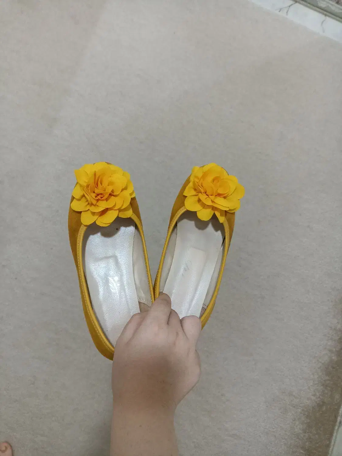 کفش با سایز ۳۷|کیف، کفش، کمربند|میاندوآب, |دیوار