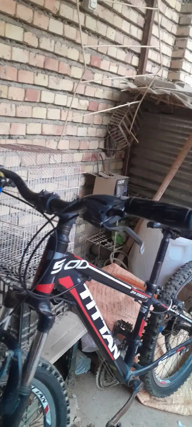 دچرخه ۲۴|دوچرخه، اسکیت، اسکوتر|گنبد کاووس, |دیوار