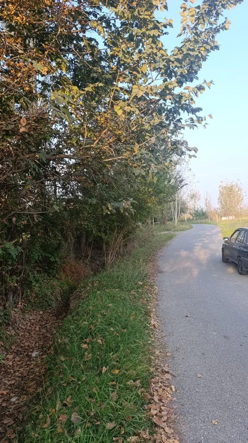 خونه کلنگی با تمام امتیاز در سنگر قاضیان|فروش خانه و ویلا|سنگر, |دیوار