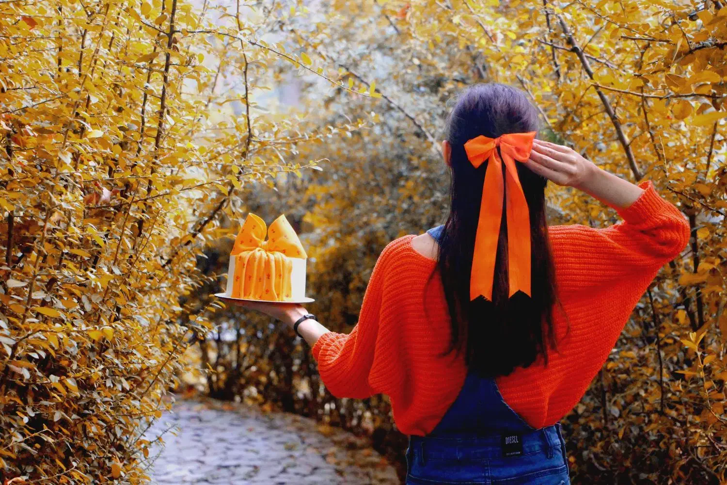 عکاسی در منزل ، عکاسی پاییزی ، مراسم عقد و تولد|خدمات پذیرایی، مراسم|مشهد, شهید بهشتی|دیوار