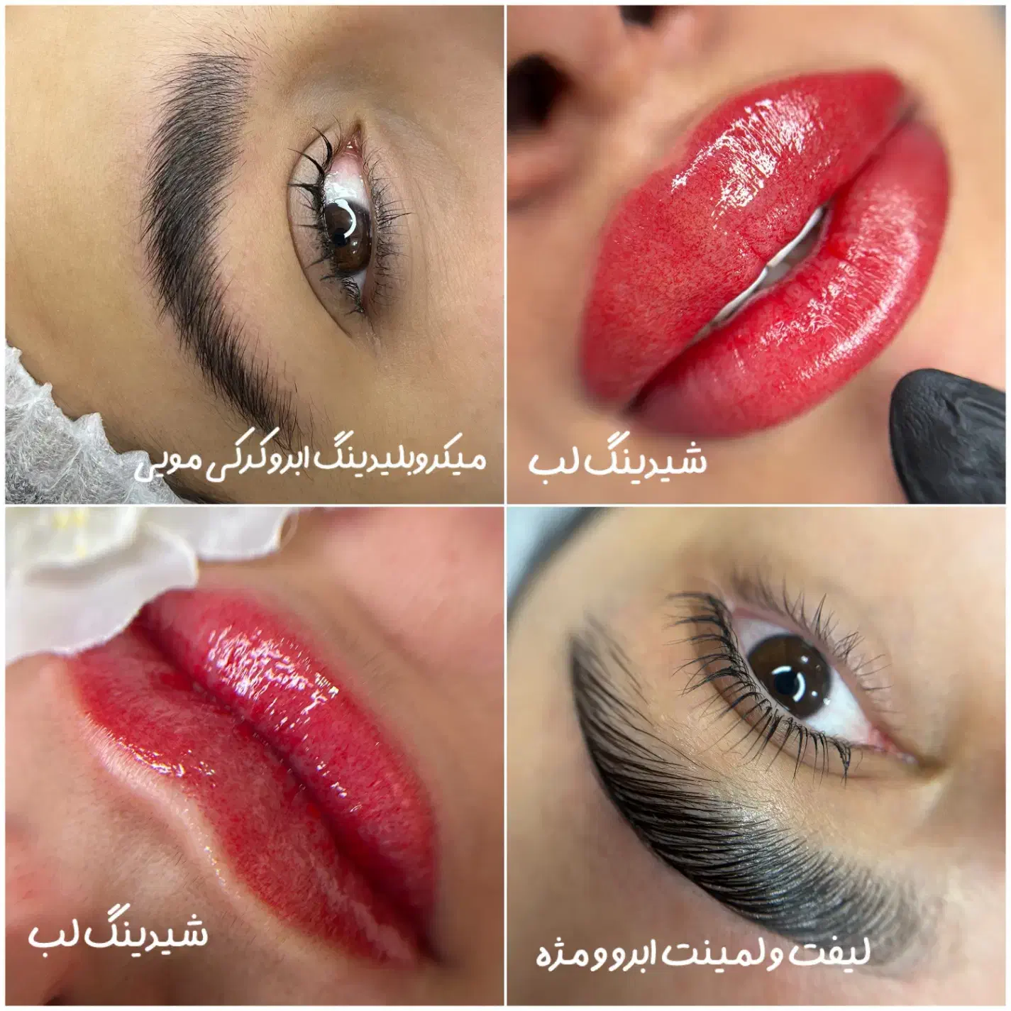 میکروبلیدینگ ابرو و شیدینگ لب هزینه متریال|خدمات آرایشگری و زیبایی|اصفهان, جامی|دیوار