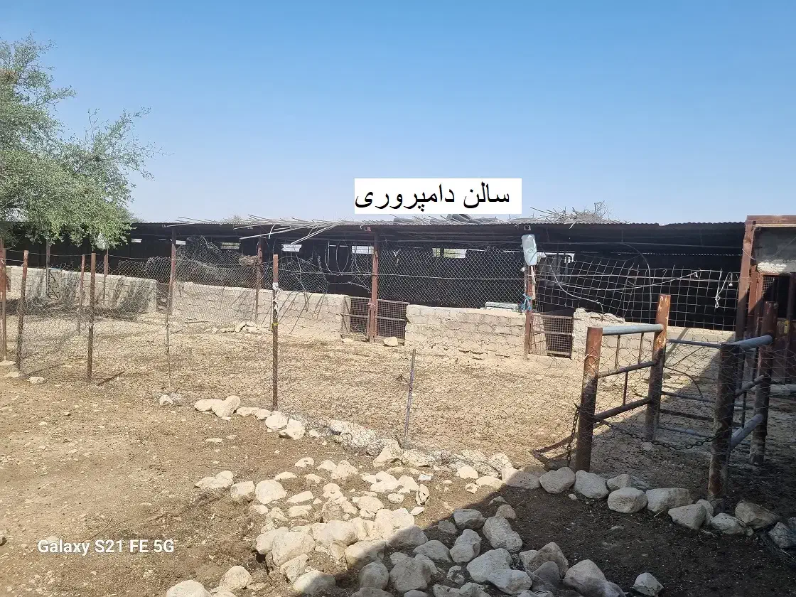 فروش فوری دامداری صنعتی باغ مرکبات|فروش دفتر صنعتی، کشاورزی، تجاری|لالی, |دیوار