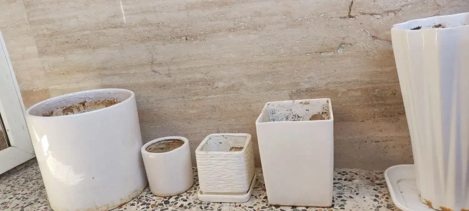 تعدادی گلدان|گل و گیاه طبیعی|شیراز, تحویلی|دیوار