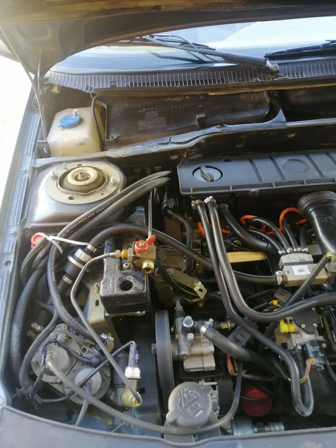 پژو ۴۰۵|خودرو سواری و وانت|سردشت, |دیوار