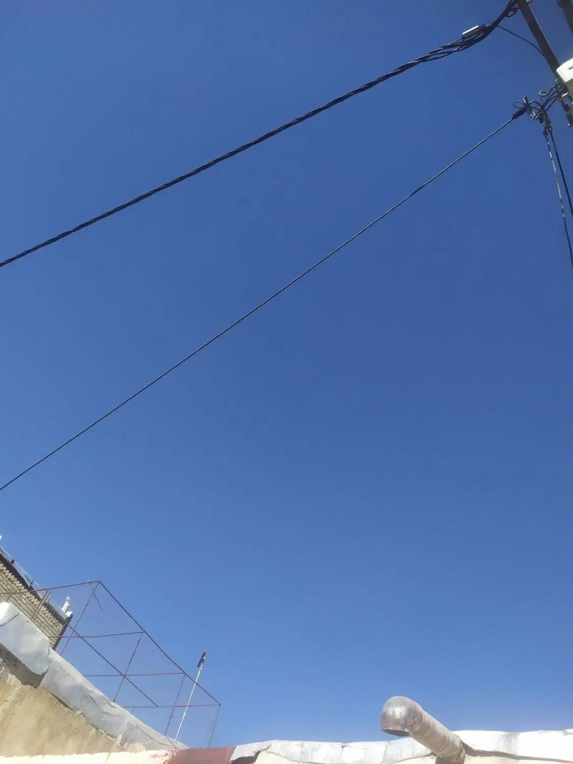 تور کبوتر میلگرد فنس مرغی ۳ طول ۲ ارتفاع|لوازم جانبی حیوانات|ملایر, |دیوار