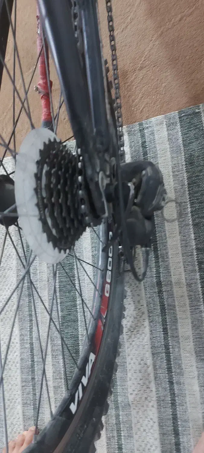 دوچرخه ۲۴|دوچرخه، اسکیت، اسکوتر|دوگنبدان, |دیوار