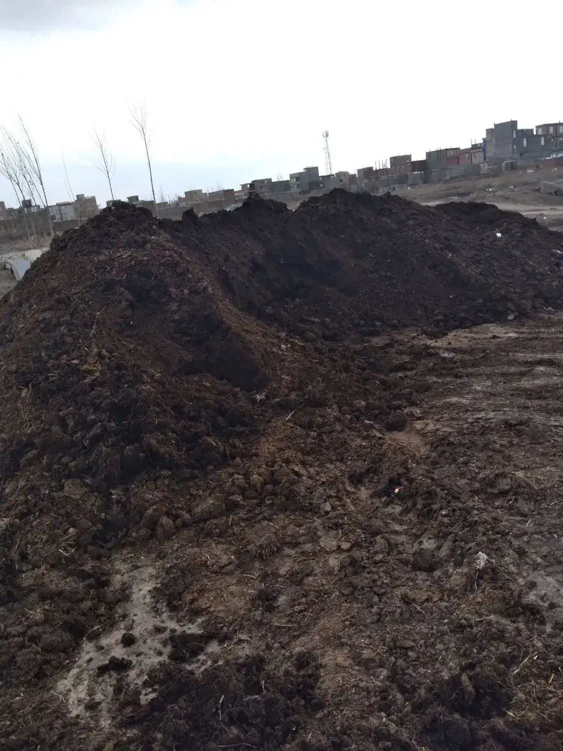 کود حیوانی|خدمات باغبانی و درختکاری|اردبیل, |دیوار