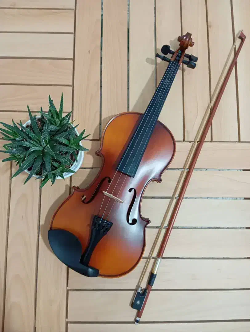 ویولن هنرجویی سایز 4/4 سالم و کم کارکرد|ویولن|بوشهر, |دیوار