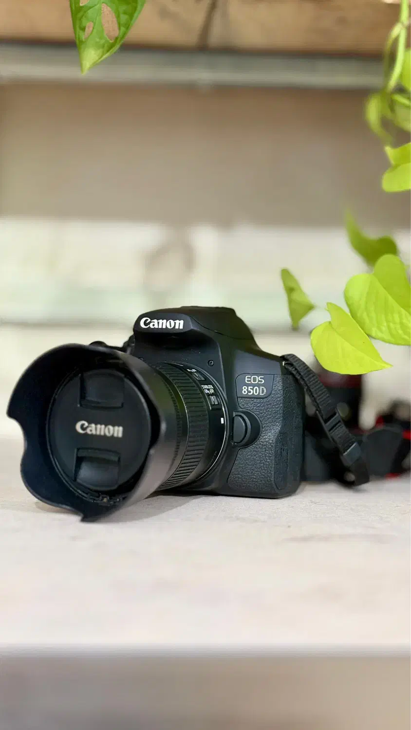 دوربین عکاسی|دوربین عکاسی و فیلمبرداری|بوشهر, |دیوار