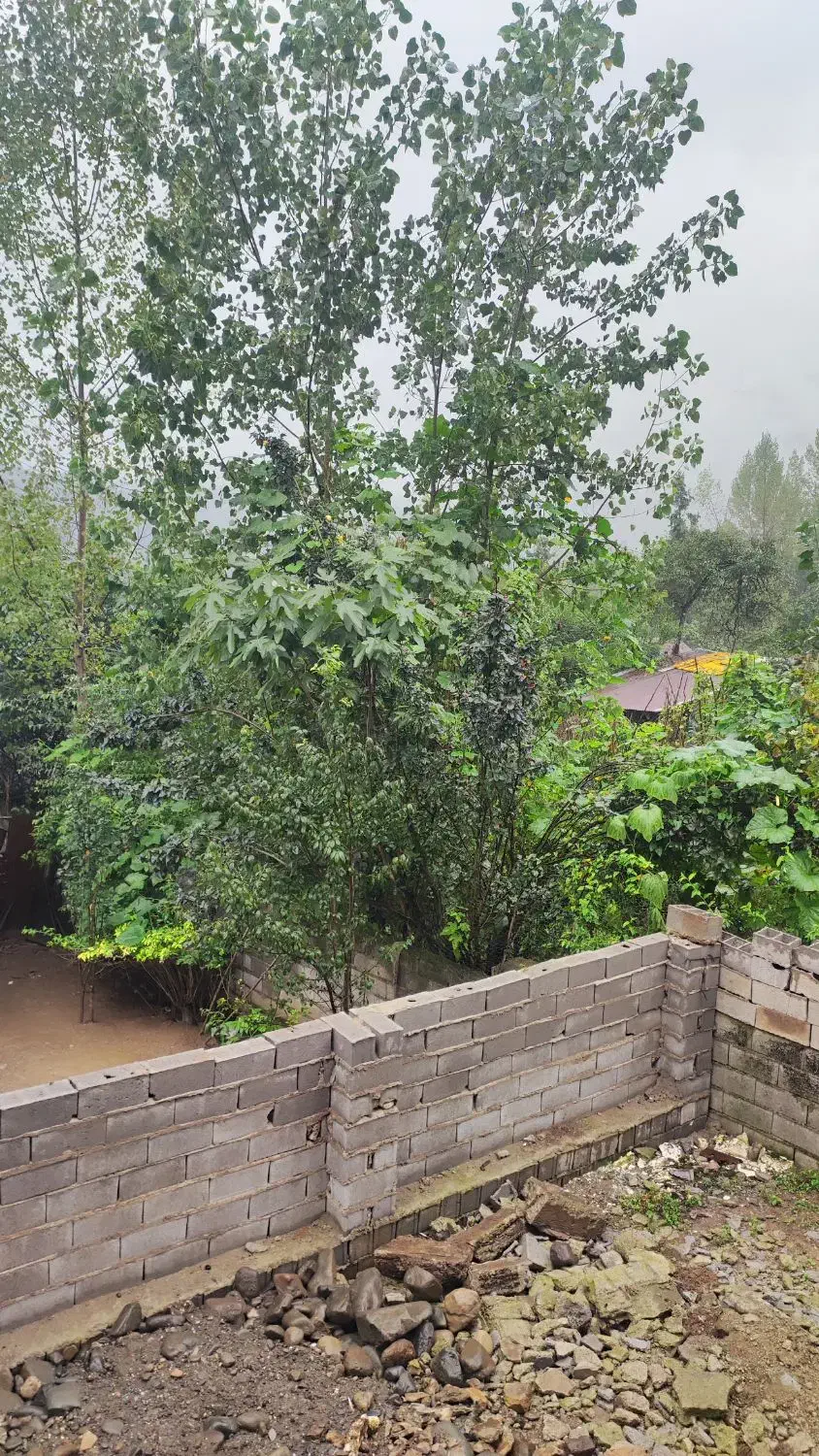 سوئیت اجاره ای تلکا|اجارهٔ کوتاه‌مدت آپارتمان و سوئیت|شیرگاه, |دیوار