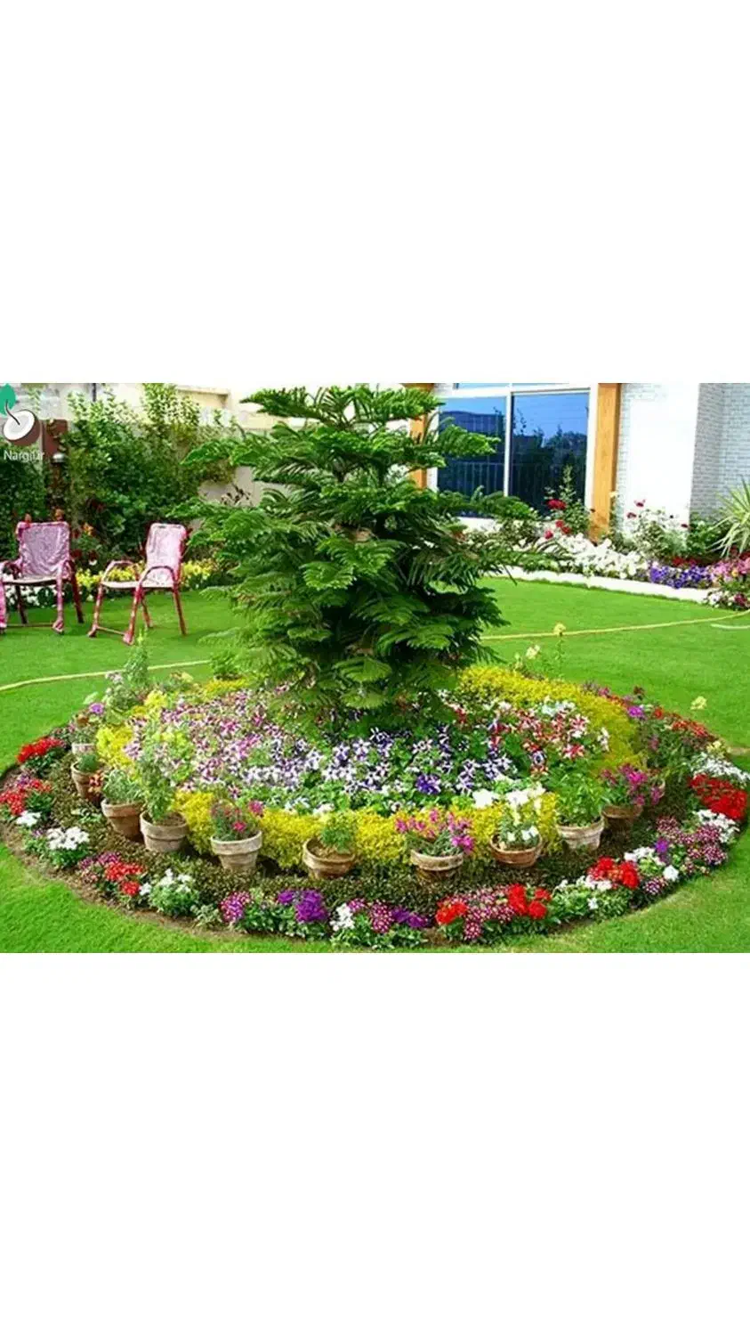 کاشت درخت، گل  گیاه، هرس درختان،|خدمات باغبانی و درختکاری|قم, آذر (نکویی)|دیوار