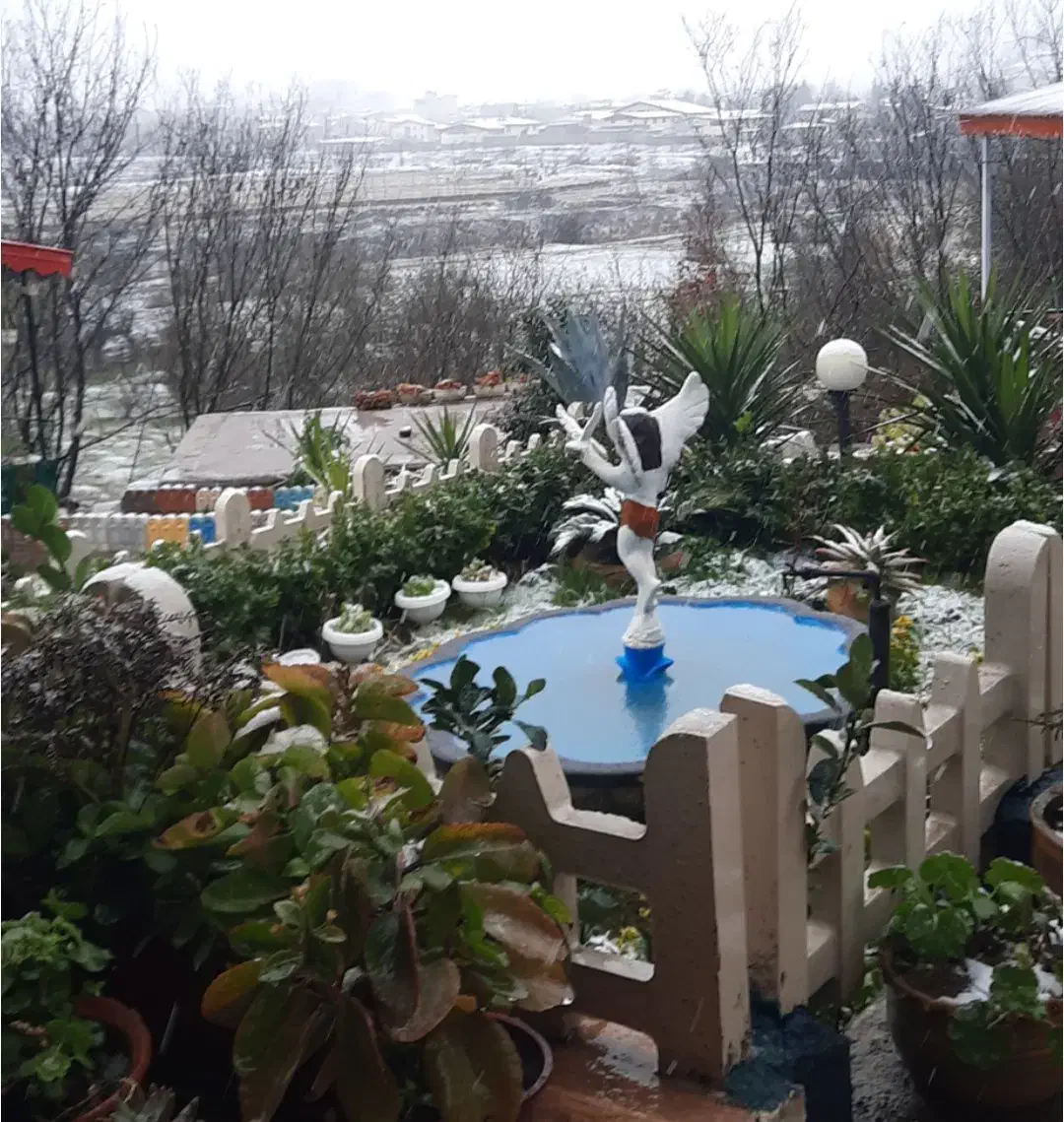 باغ ویلای جنگلی خوش منظره|اجارهٔ کوتاه‌مدت ویلا و باغ|اطاقور, |دیوار