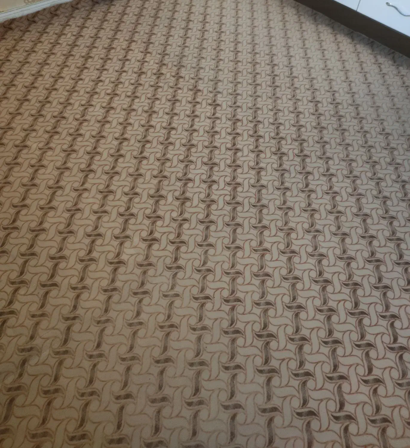 موکت ۲۰ متر|موکت|اصفهان, خوراسگان|دیوار