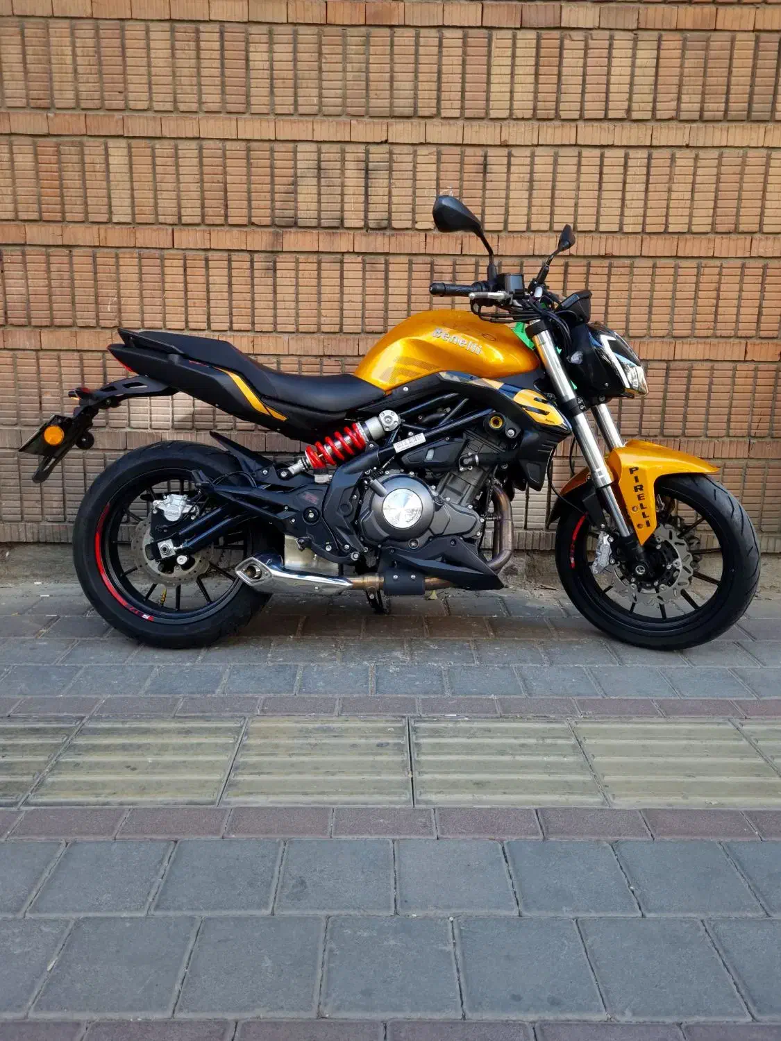 بنلی دو سیلندر 300 طلایی|موتورسیکلت|تهران, سنائی|دیوار