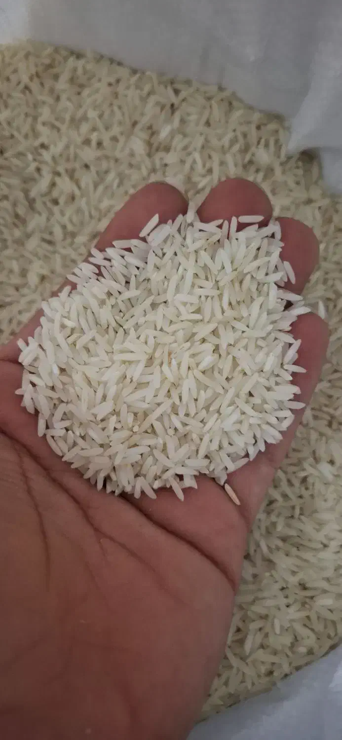 برنج دم سیاه درجه یک|خوردنی و آشامیدنی|گنبد کاووس, |دیوار