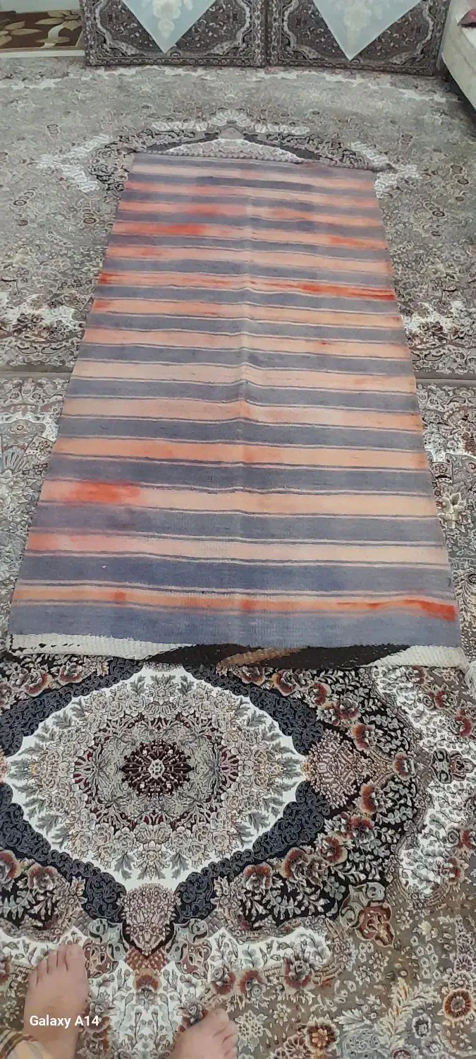 گلیم(پلاس)|گلیم، جاجیم، گبه|بیرجند, |دیوار