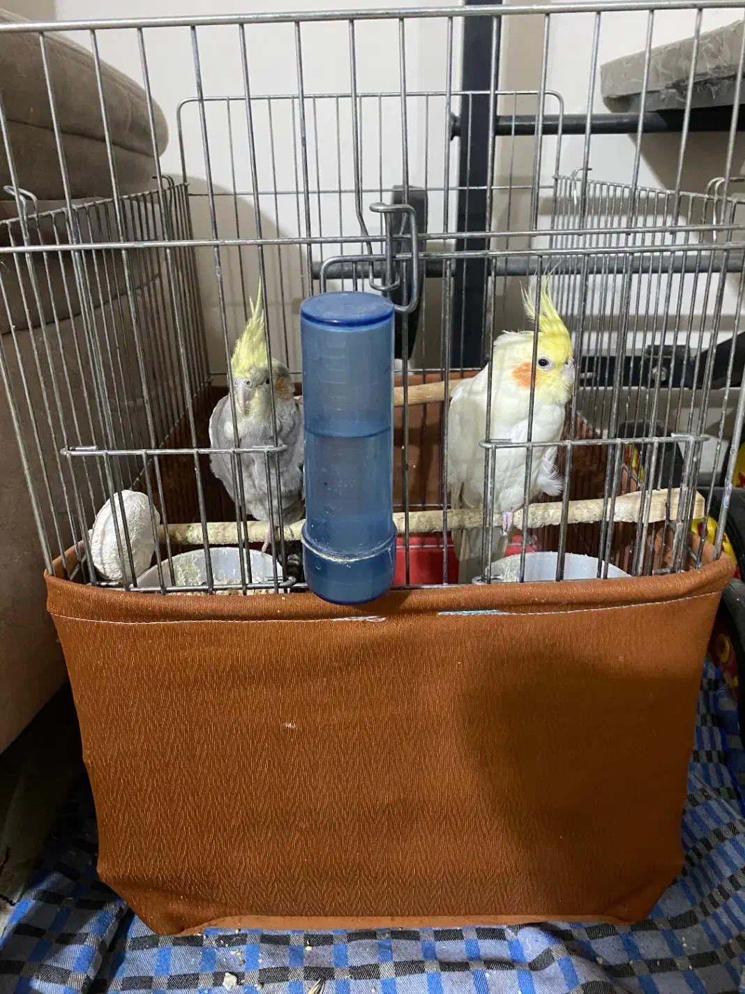 لوازم منزل معاوضه|اجاق گاز و لوازم برقی پختوپز|قزوین, |دیوار