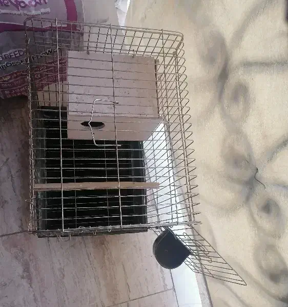 قفس پرنده و لانه چوبی|لوازم جانبی حیوانات|تهران, شادآباد|دیوار