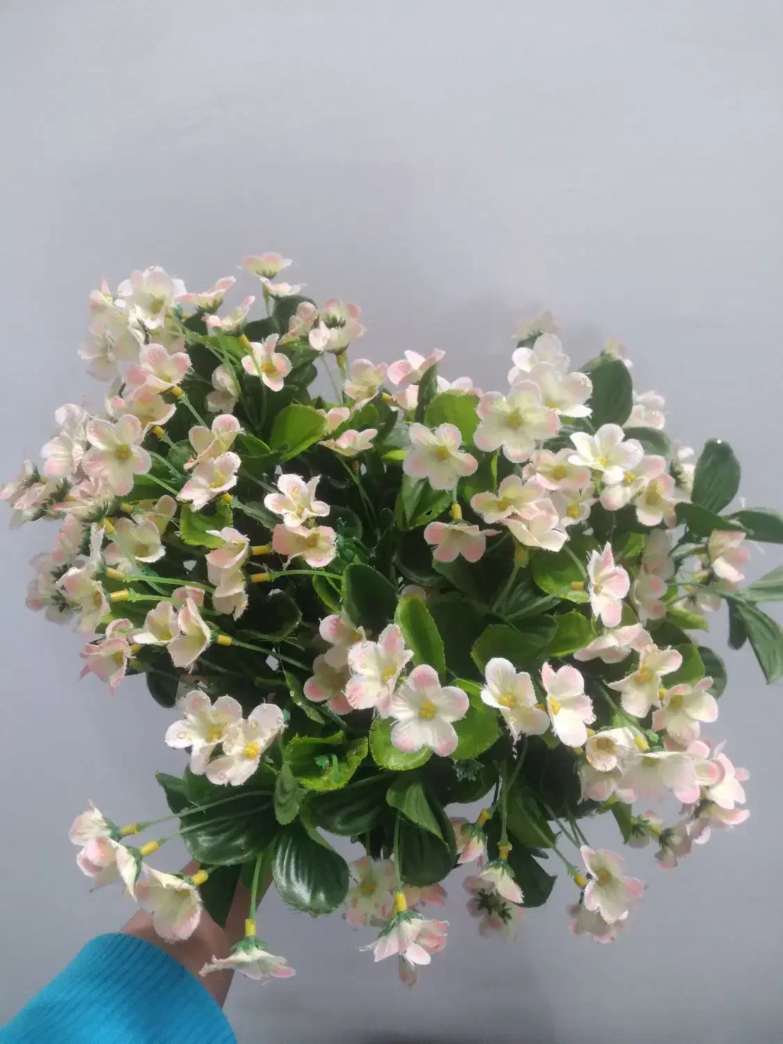 گل شکوفه|گل مصنوعی|بروجرد, |دیوار