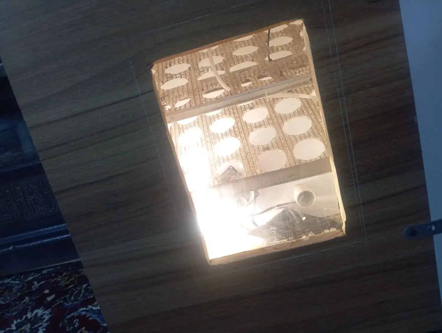 دستگاه جوجه کشی ۴۲تایی|لوازم جانبی حیوانات|تربت جام, کشتارگاه|دیوار