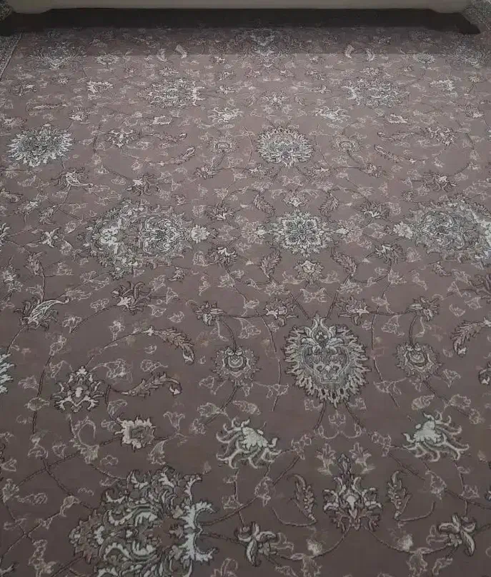 فرش|فرش|مشهد, یوسفیه (شهرک غرب)|دیوار