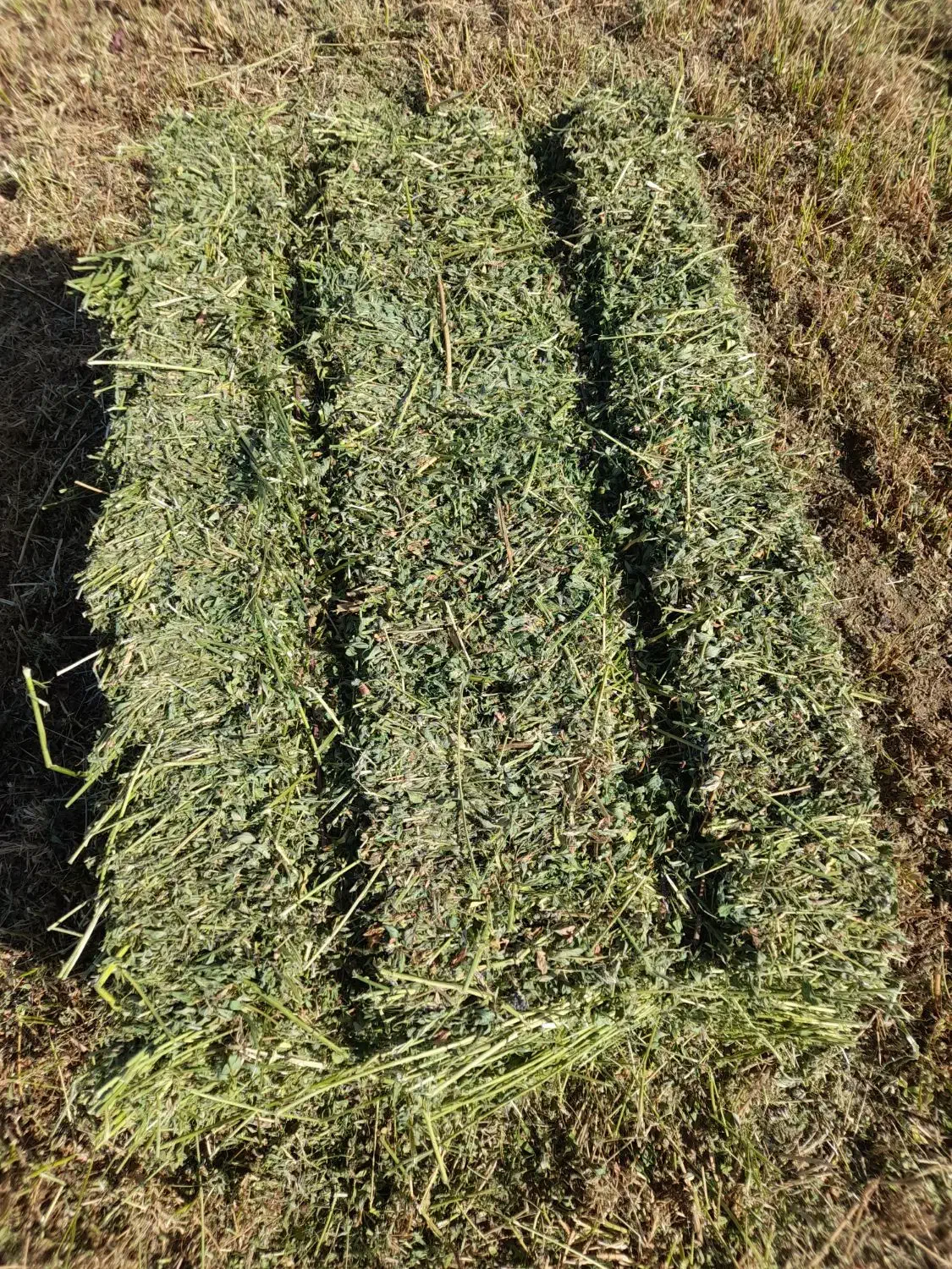 یونجه خشک بسته بندی|حیوانات مزرعه|بیله سوار, |دیوار