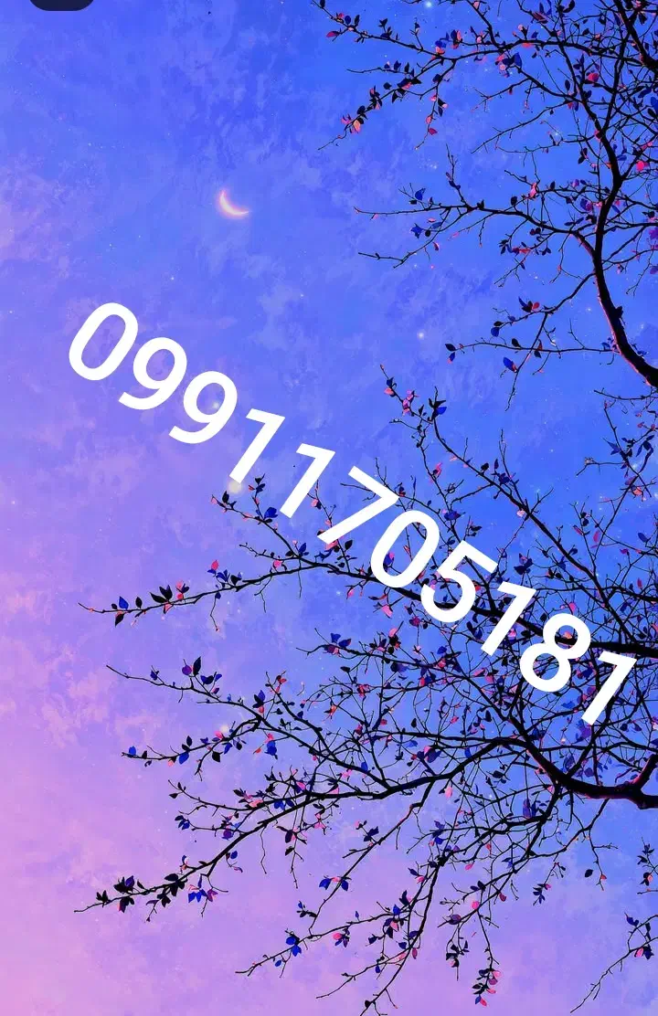 09911705181|سیم‌کارت|مشهد, حضرت حجت|دیوار