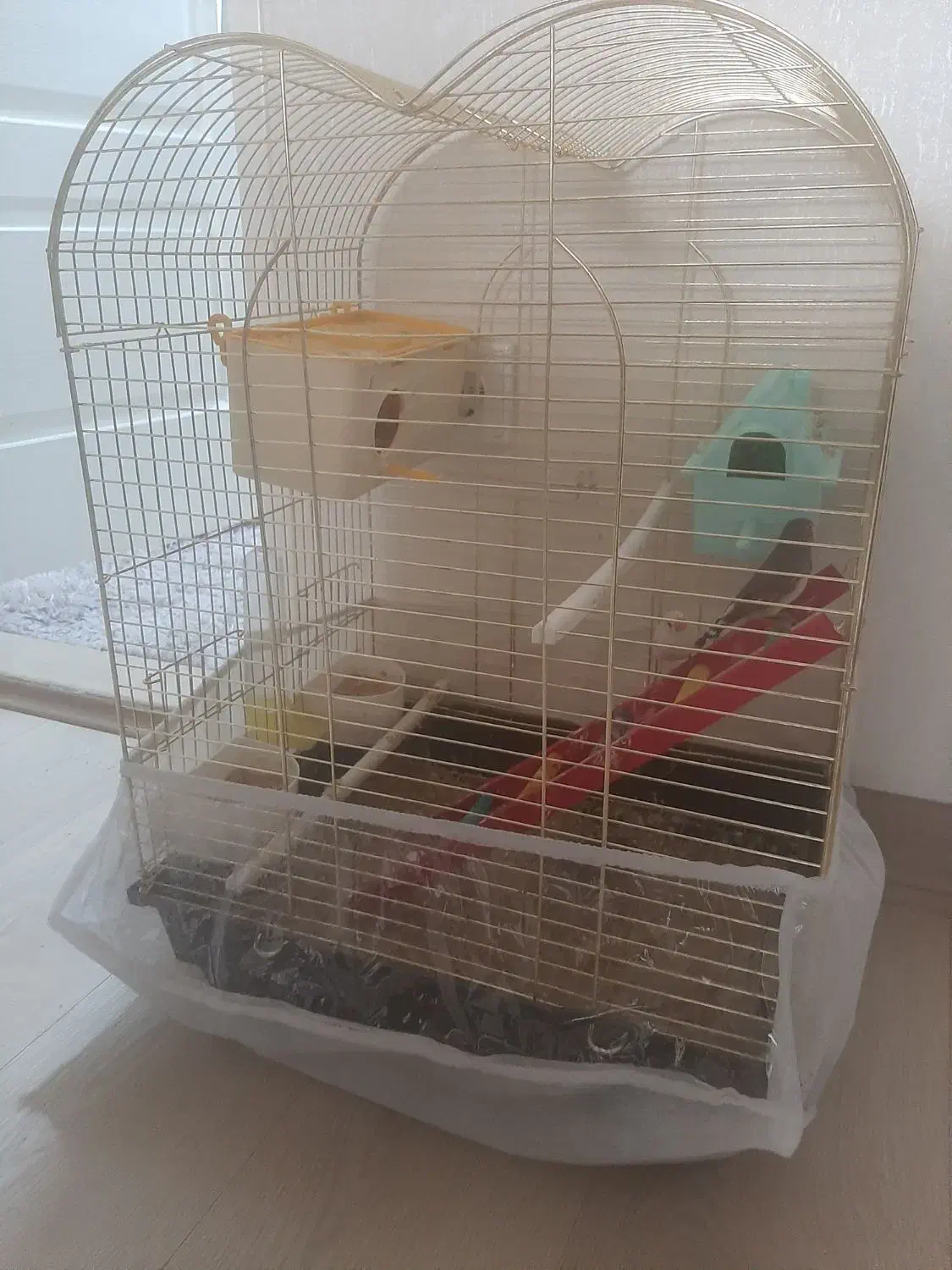 فنچ ۳عددی همراه قفس و لوازم|پرنده|تبریز, |دیوار