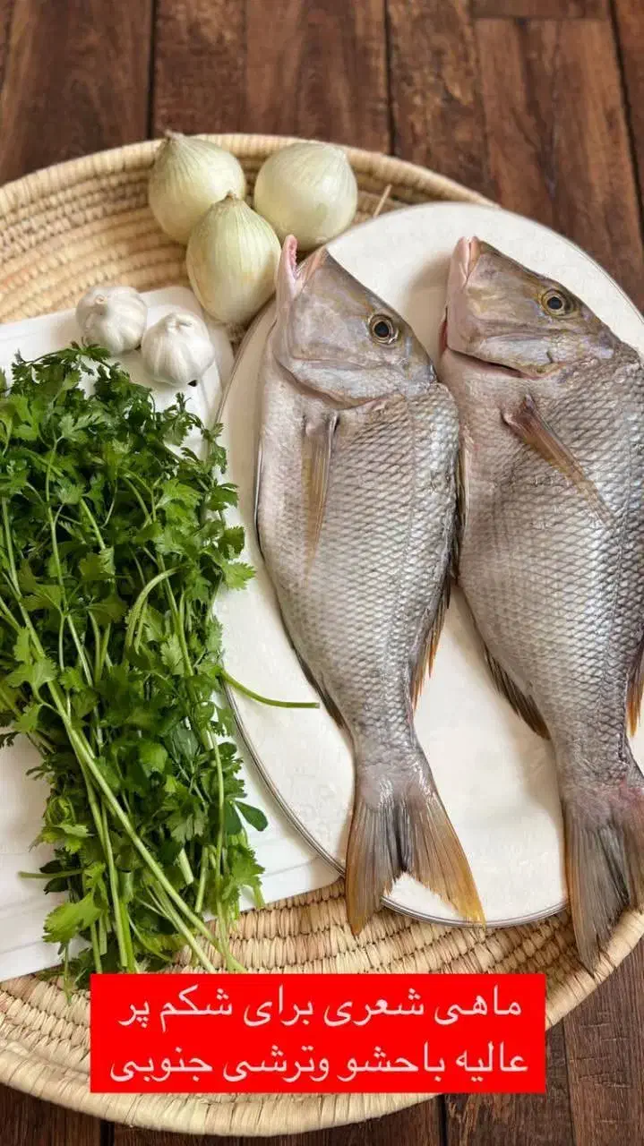 فروش انواع ماهی و میگو عمده و جزئی|عمده‌فروشی|سیاخ دارنگون, |دیوار