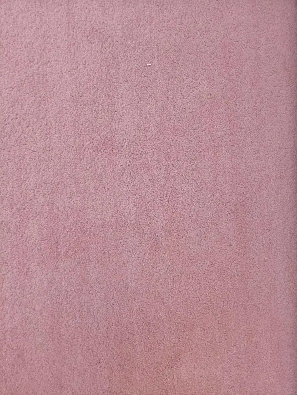 پالاز موکت درحد نو9متری|موکت|شیراز, مسلم|دیوار