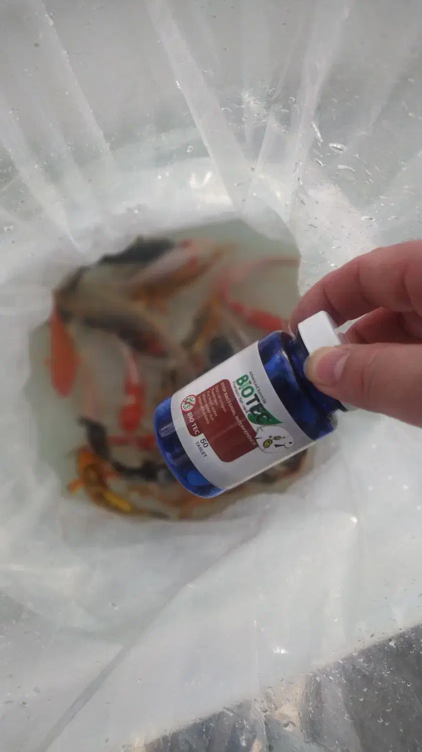 داروهای تخصصی تداخل باکتری|ماهی|مشهد, بهشت|دیوار