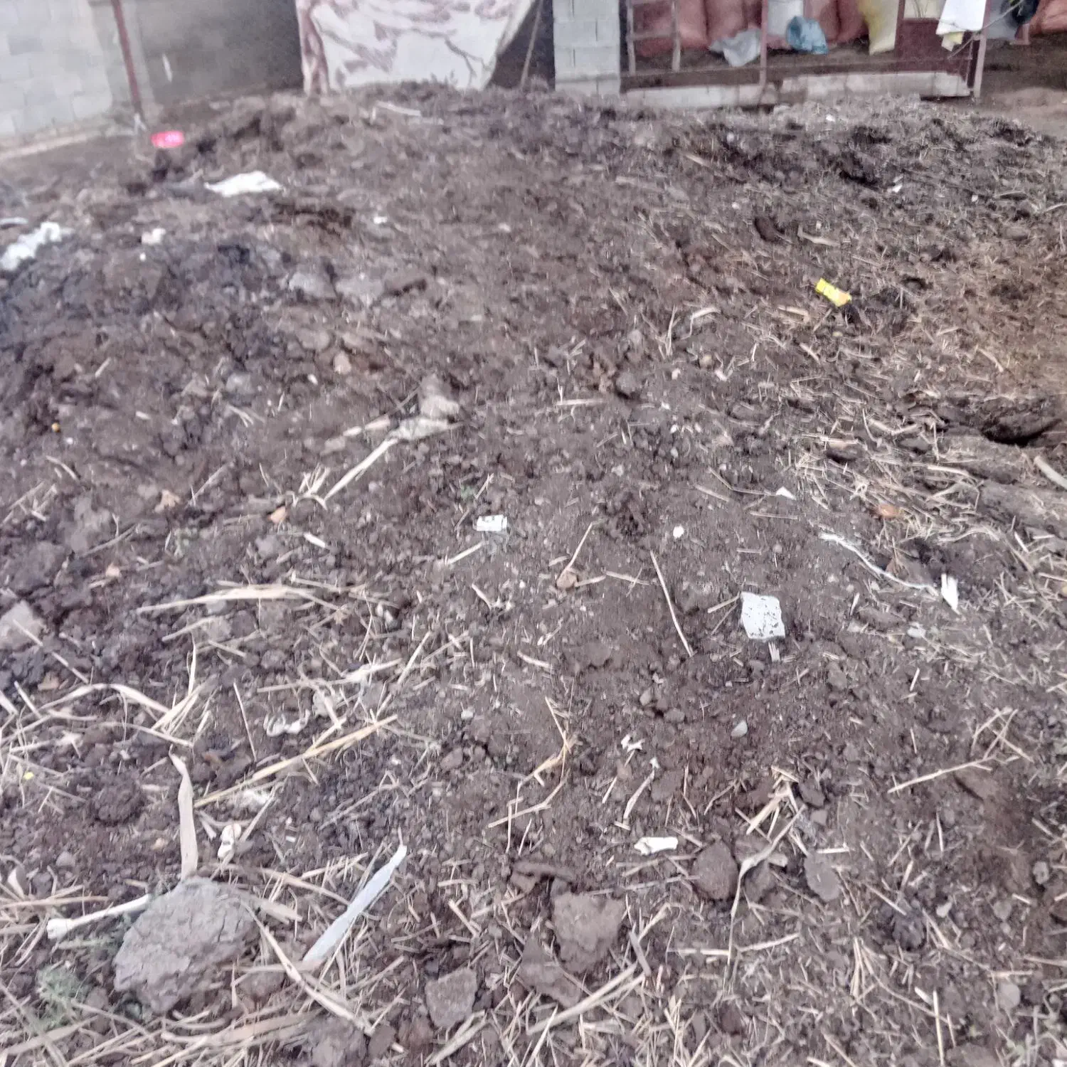 کود گوسفندی چند ساله خیلی خوب|لوازم جانبی حیوانات|گنبد کاووس, |دیوار