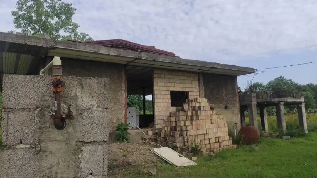 فروش زمین ۴هکتاری تو دل جنگل|فروش زمین و ملک کلنگی|شفت, |دیوار