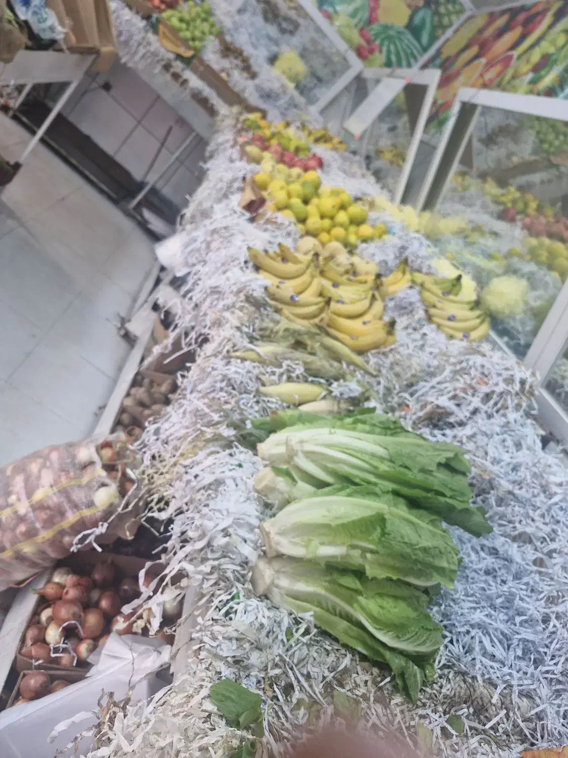 قفسه میوه فروشی|فروشگاه و مغازه|برازجان, |دیوار