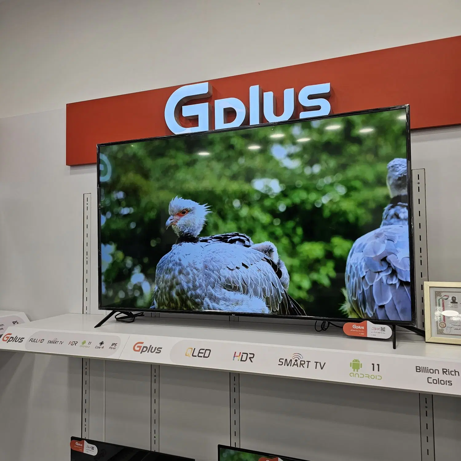 تلویزیون ۶۵ اینچ QLED جیپلاس مدل 65SQ789N|تلویزیون و پروژکتور|تهران, شهرک هما|دیوار