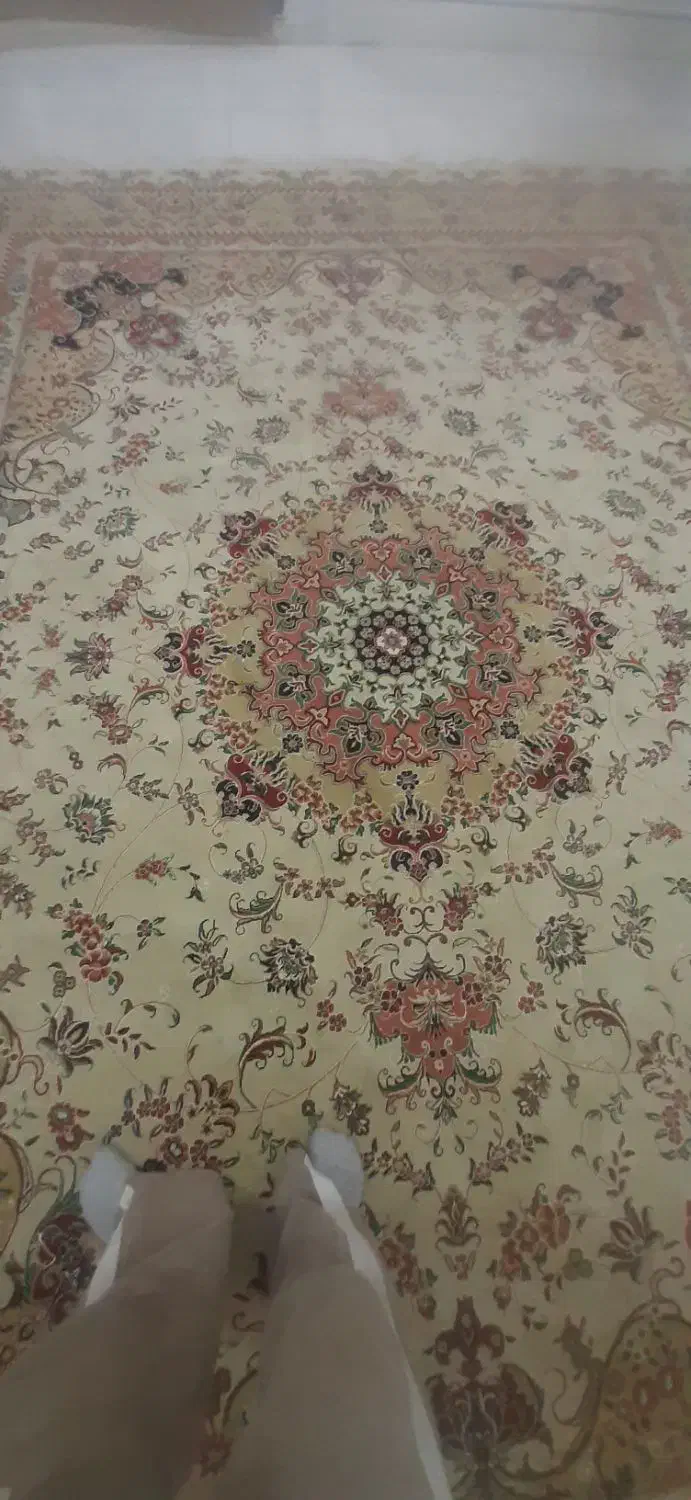 فرش|فرش|قم, علی آباد سعدگان|دیوار