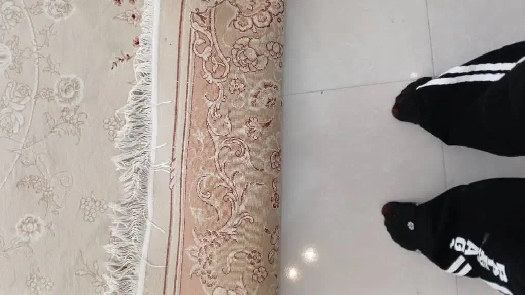 فرش مشهد|فرش|گرگان, |دیوار