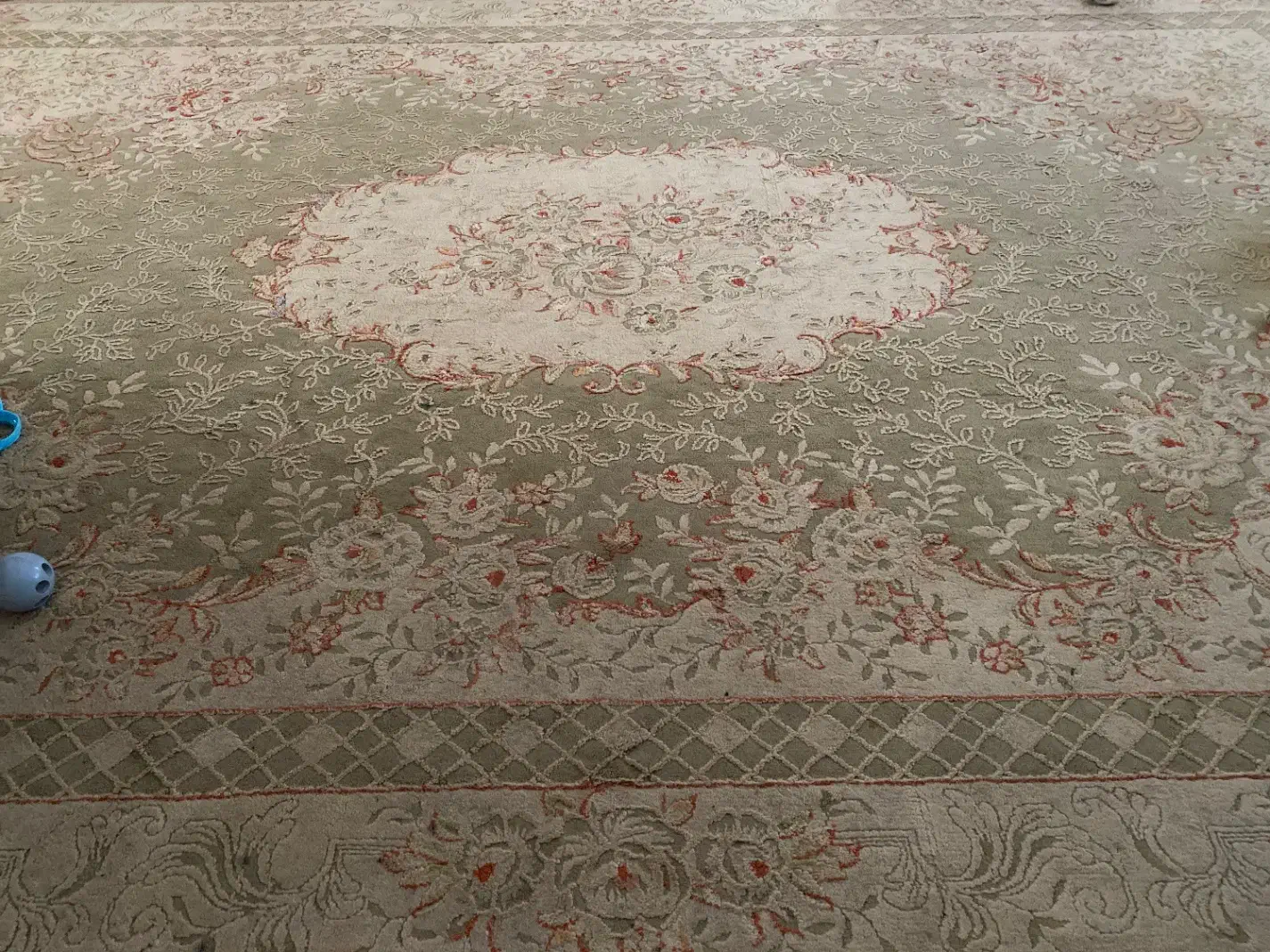 قالی|فرش|نوشهر, |دیوار