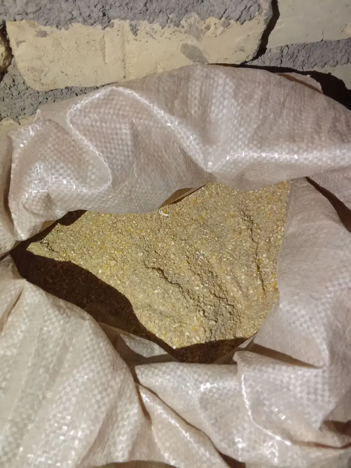 دان|حیوانات مزرعه|بیرجند, |دیوار