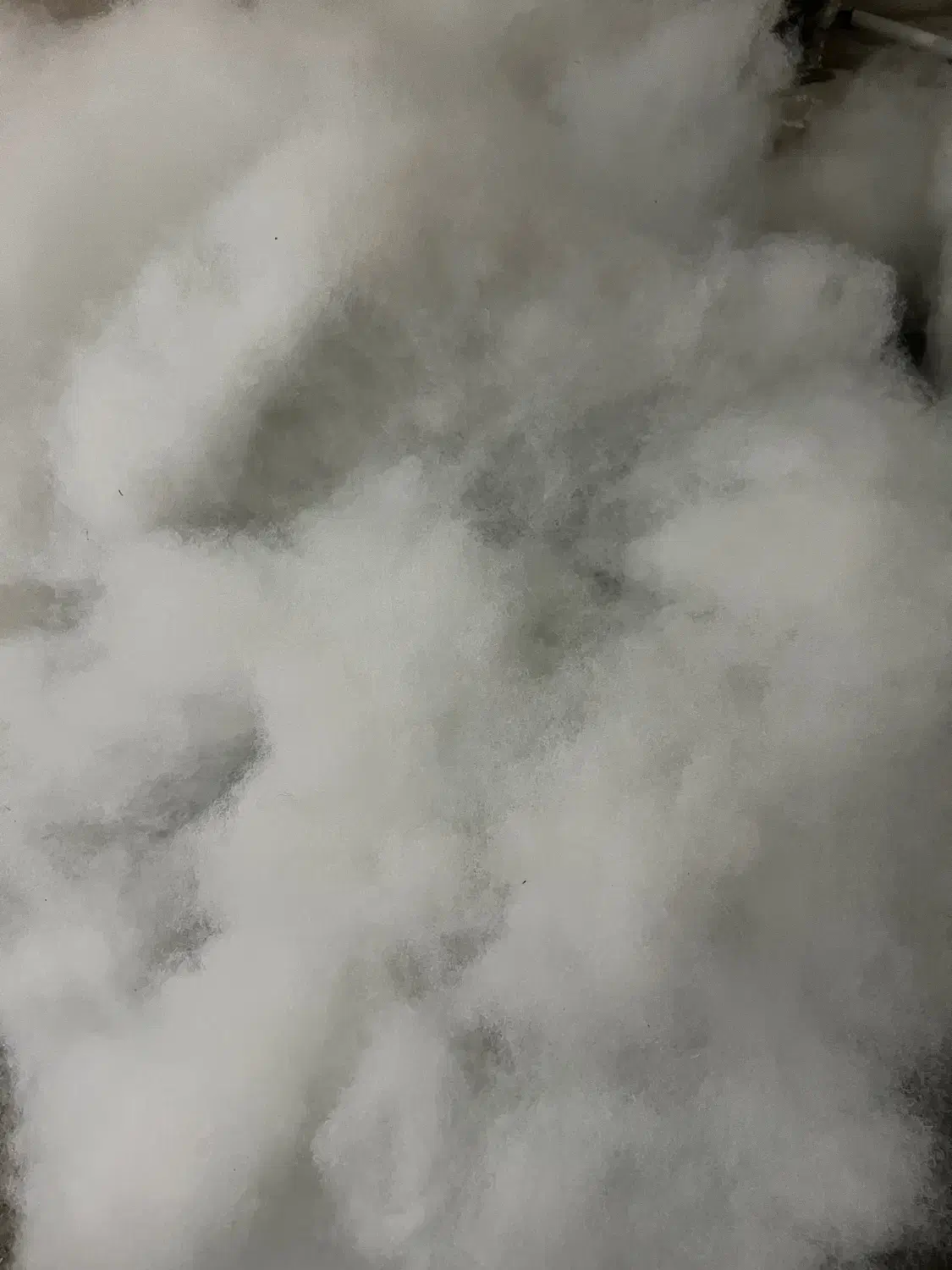 فروش الیاف هالو سوپر ویژه بدون ریزش|رختخواب، بالش، پتو|شیراز, بازار|دیوار