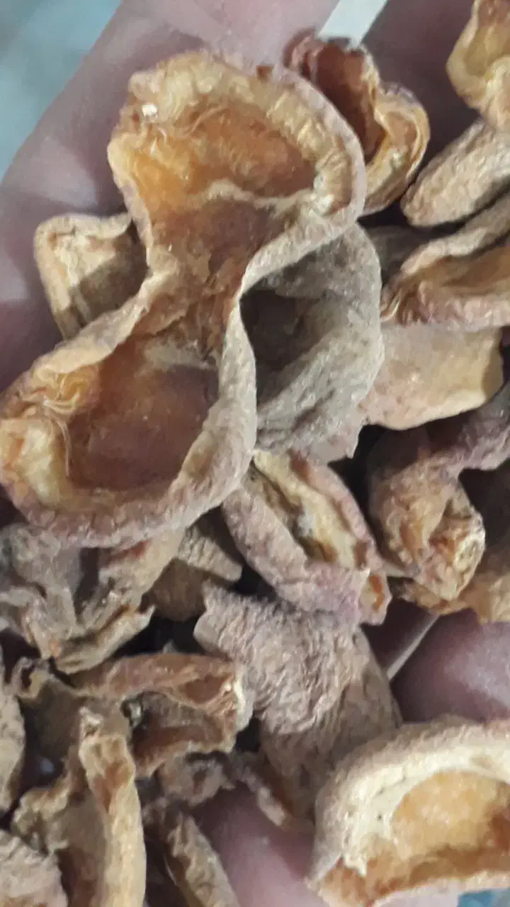 برگه قیصی زردآلو آفتاب خشک طبیعی(ارسال رایگان)|خوردنی و آشامیدنی|قم, صفائیه|دیوار