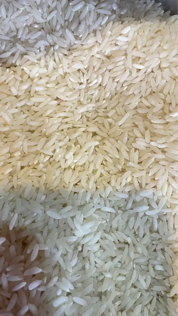 برنج|خوردنی و آشامیدنی|محمودآباد, |دیوار