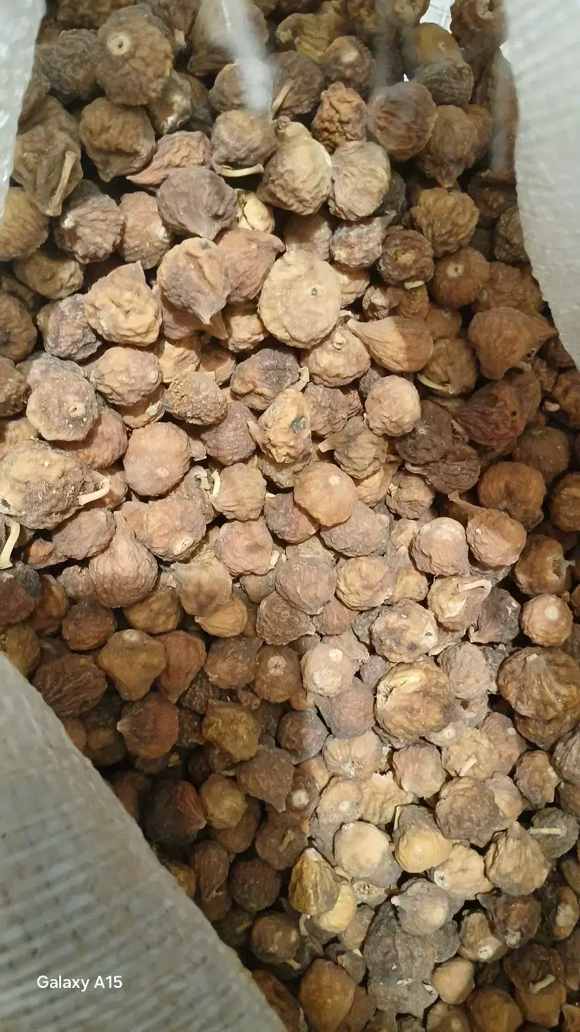 انجیر کوهی استهبان فقط وفقط عمده|خوردنی و آشامیدنی|اهواز, کمپلو شمالی|دیوار