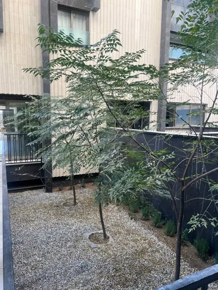 اپارتمان صفر  ارغوانیه ۱۳۵|فروش آپارتمان|اصفهان, ارغوانیه|دیوار