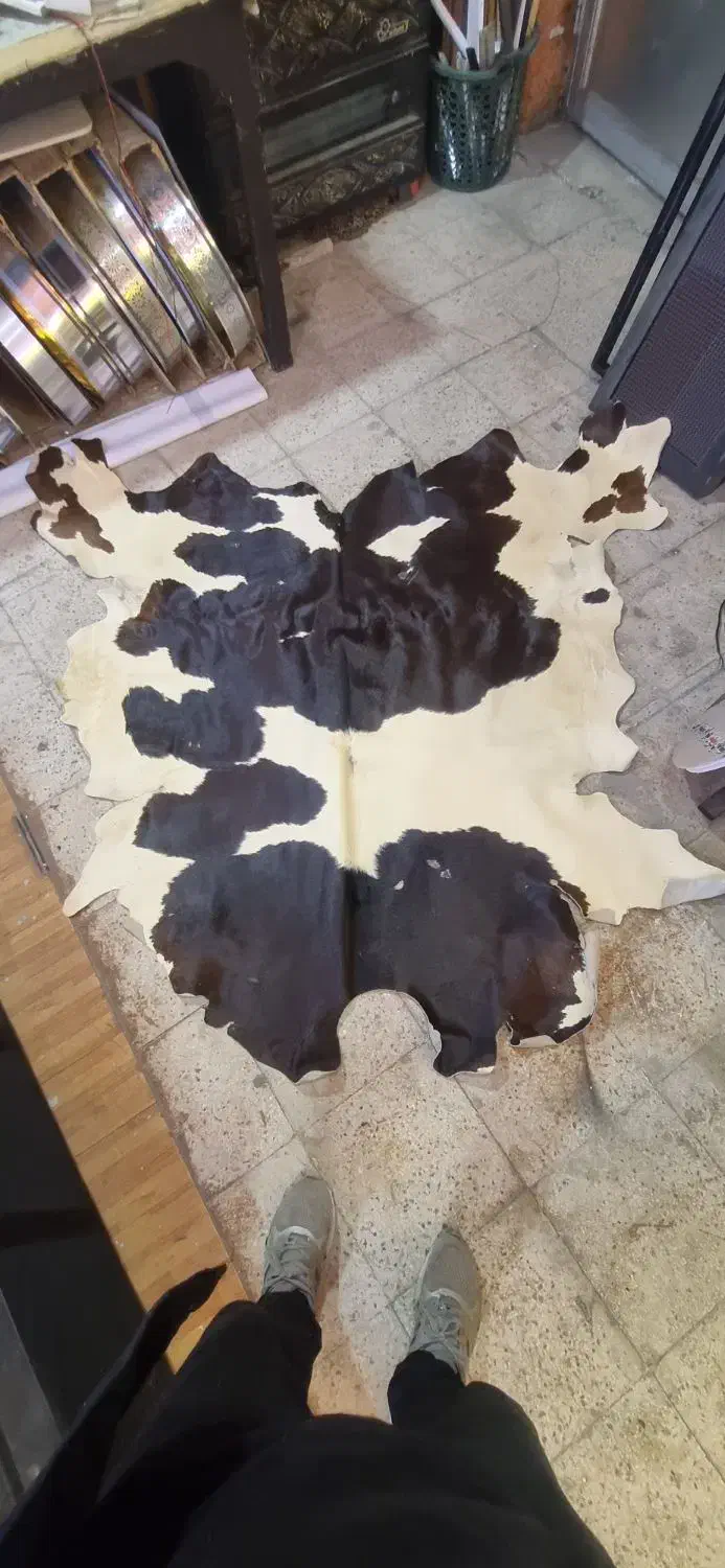 فرش پوست|فرش|بندر انزلی, ناسیونال|دیوار